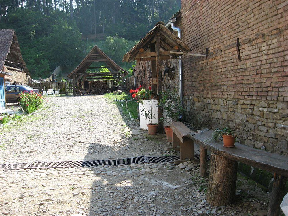 Pension Cartref Saschiz 外观 照片