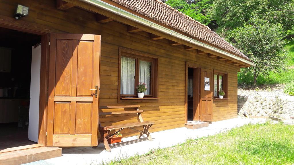 Pension Cartref Saschiz 外观 照片