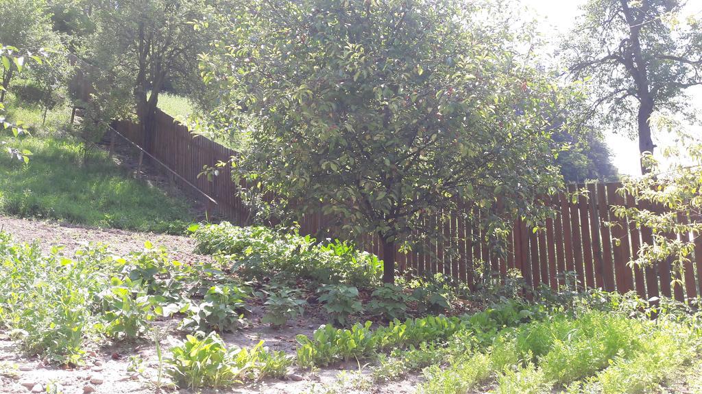 Pension Cartref Saschiz 外观 照片